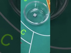 8 / 10 / 12mm 精密ダイス プラスチック 16mm ホワイトダイス 無線インダクションダイス