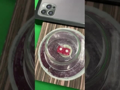 カスタマイズされたダイスごまかす装置電子磁気ダイス システム