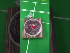 変形インダクションダース 浮気装置 磁気/非磁気 充電されたダースセット